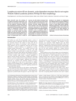 Lymphocyte microvilli are dynamic, actin-dependent