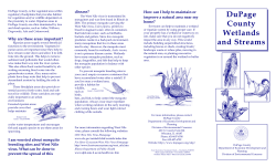DuPage County "Wetlands and Streams"