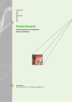 Protein Research