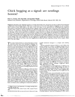 Chick begging as a signal: are nestlings honest?