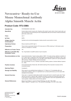 NovocastraTM Ready-to-Use Mouse Monoclonal