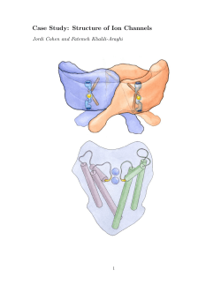 Case Study: Structure of Ion Channels