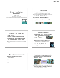 Primary Production