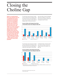 Closing the Choline Gap