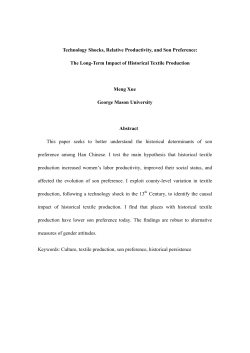 Technology Shocks, Labour Productivity, and Son