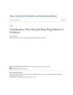 Classification: More than Just Branching Patterns of Evolution