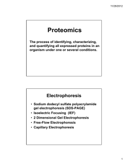 Lecture 2- Gel Electrophoresis