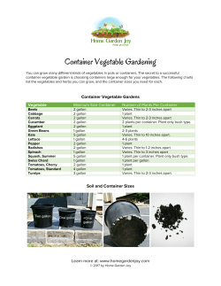 Container Vegetable Gardening