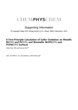 Supporting Information