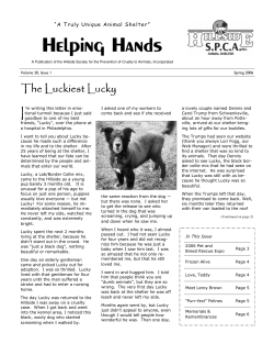 Helping Hands - Hillside SPCA