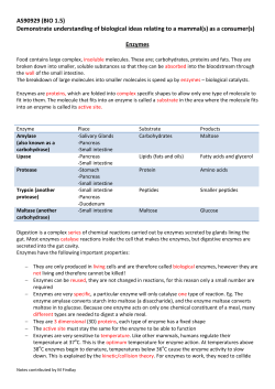 Demonstrate understanding of biological ideas relating to a mammal