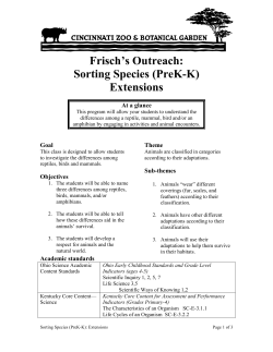 Sorting Species (PreK-K) Extensions