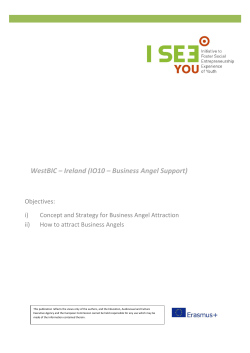 Business Angel Attraction Plan