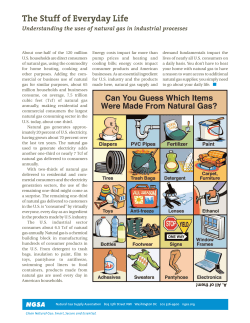 The Stuff of Everyday Life - Natural Gas Supply Association