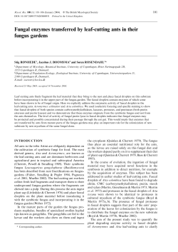 Fungal enzymes transferred by leaf