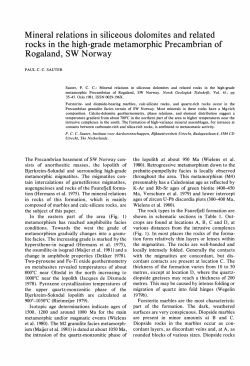 Mineral relations in siliceous dolomites and related rocks in the high