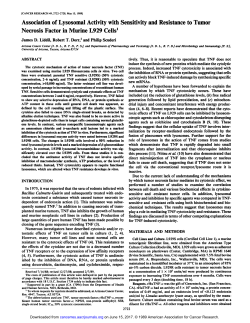 Association of Lysosomal Activity with Sensitivity