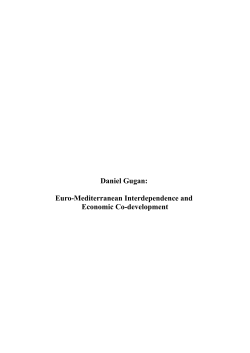 Daniel Gugan: Euro-Mediterranean Interdependence and Economic