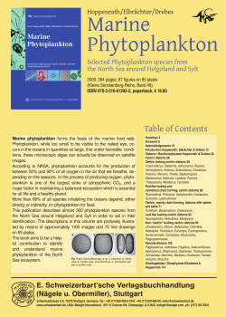 Marine Phytoplankton