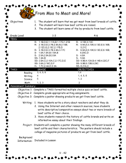 From Moo to Meat and More!