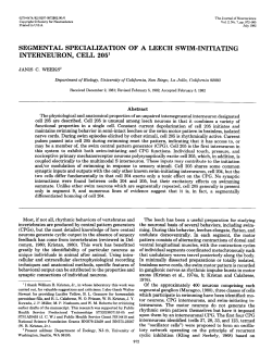 SEGMENTAL SPECIALIZATION OF A LEECH SWIM