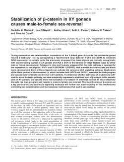 Stabilization of b-catenin in XY gonads causes male-to