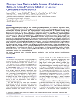 Disproportional Plastome-Wide Increase of Substitution Rates and