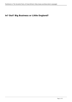 In? Out? Big Business or Little England?