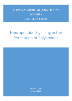 Neuropeptide Signaling in the Perception of Polyamines