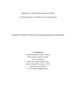 Strategic New Industry Development in China