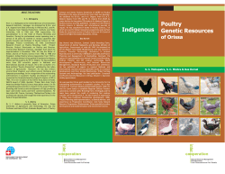 Untitled - Intercooperation Social Development India