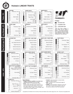 Holstein LINEAR TRAITS