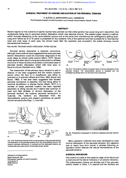 peroneal tendons.