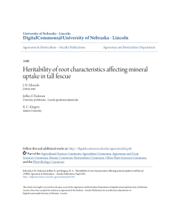 Heritability of root characteristics affecting mineral uptake in tall fescue