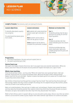 lesson plan ks1 science