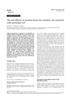 The end effector of circadian heart rate variation: the sinoatrial node