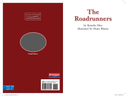 The Roadrunners