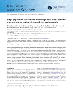Single population and common natal origin for Adriatic Scomber