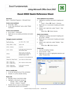 Excel 2002: Quick Reference Guide