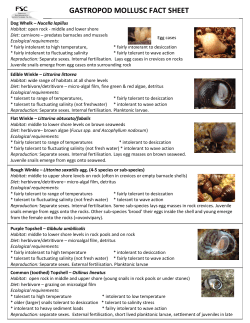 Mollusc fact sheet - Field Studies Council