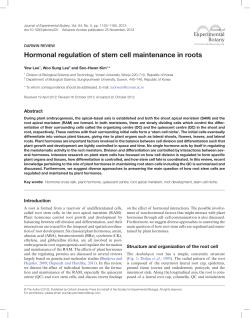 Hormonal regulation of stem cell maintenance in