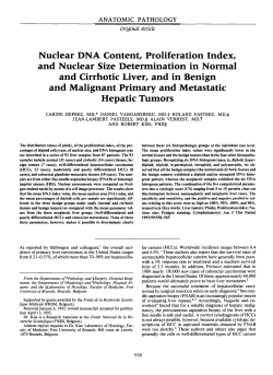 Nuclear DNA Content, Proliferation Index, and Nuclear Size