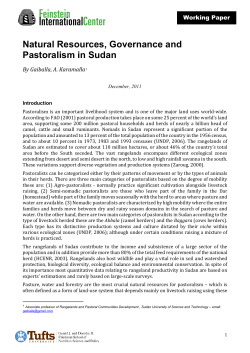 Paper 1: Natural Resources, Governance, and Pastoralism in Sudan