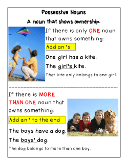 Possessive Nouns