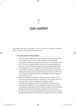 Cow comfort