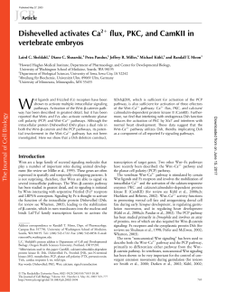 Dishevelled activates Ca2+ flux, PKC, and CamKII in vertebrate