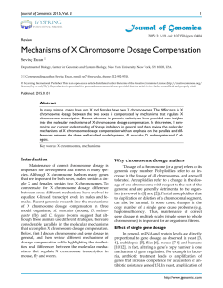 Mechanisms of X Chromosome Dosage Compensation