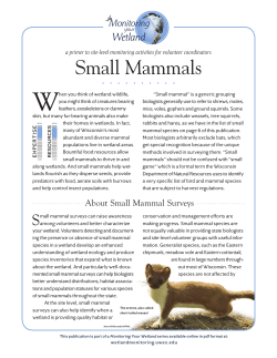 Monitoring Your Wetland - Small Mammals