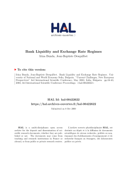 Bank Liquidity and Exchange Rate Regimes