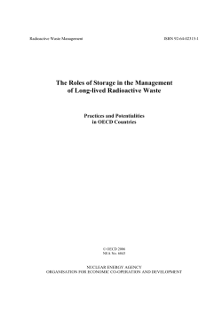 The Roles of Storage in the Management of Long